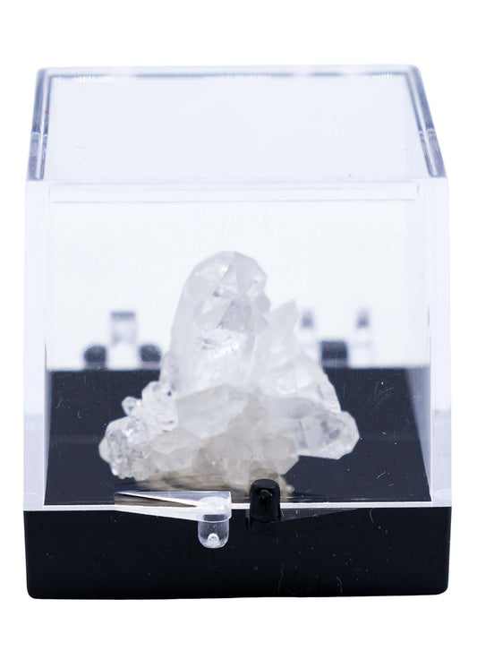 Arkansas Quartz Crystal Perky Box Display (Assorted)